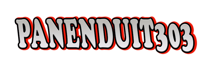 Panenduit303